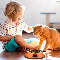 Amylove Cat Bowls for Food and Water Cat Dishes Stainless Steel Pet, frame 2