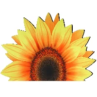 Amylove Sunflower Shape Bathroom Rug Non Slip Bath Mat Doormat, frame 1
