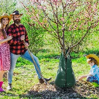 Amylove 20 Gallon Tree Watering Bags, frame 2