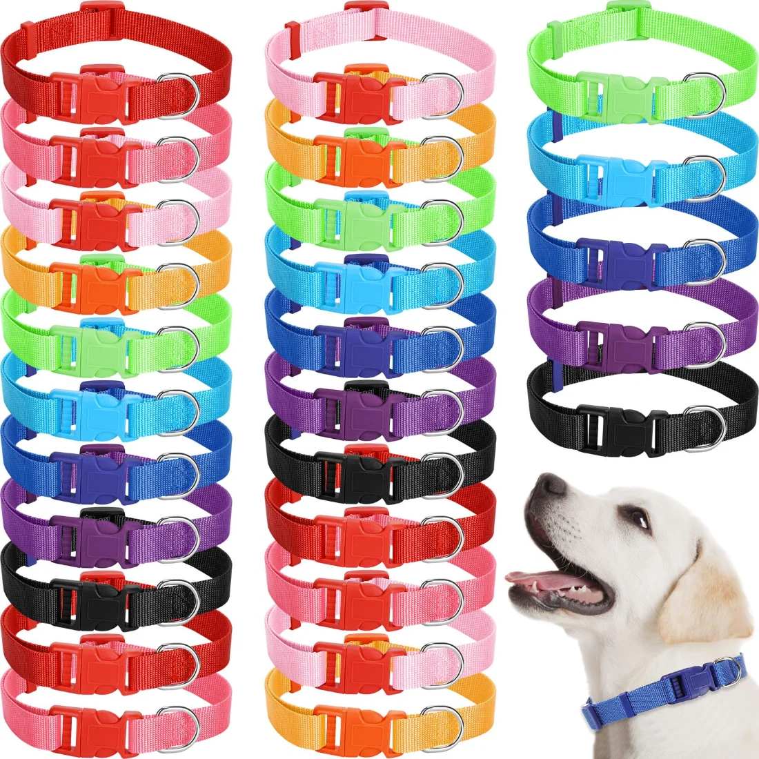 Amylove Dog Collar Adjustable